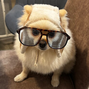 Pardonchik - steam id 76561198992328203