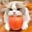ShiYi_QAQ