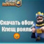 Скачать обои Клещ