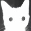 Avatar of player .... ..- .---