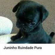 Junin Ruindade Pura