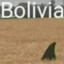 TIBURON BOLIVIANO