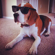 люблю большие сис