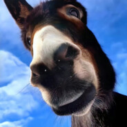 今天不开心哦哦