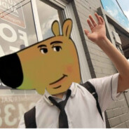 tinomly