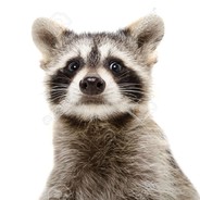 Vadurianu' - steam id 76561198140495728