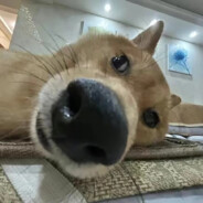 09号金牌男技师