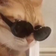 悬崖下的金鱼姬