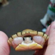 NIKO - steam id 76561199099578005