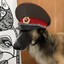 ☭ Camarada Borzoi