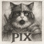 Pix