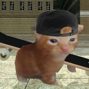 𝑨𝟎𝟏.