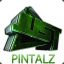 PINTALZ | Rct