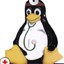 [DoCtor] Linux93