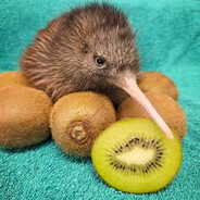 Kiwi Enjoyer