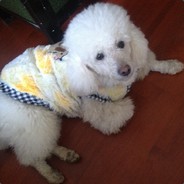 全儒全道是全贤