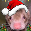 TiredFerret