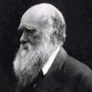 Thúy Kiều lỡ bước