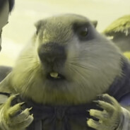 土肥坡第一美美鼠