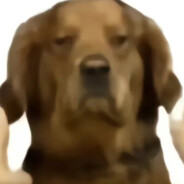 超级无敌大肉鸡