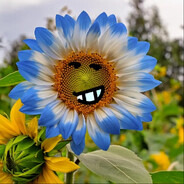 оливье салад 228