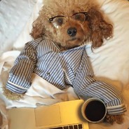 你好，我叫干不倒