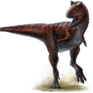 Carnotaurus