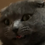 Дворный школ