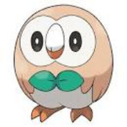 Rowletgg