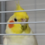 星星