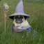 LordPug