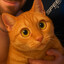 tirs