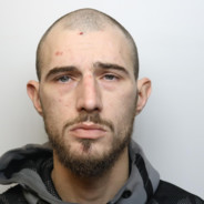 krokodilpeek1.79km/h