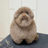 Казан Плова