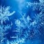 PGP Frost