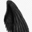 ___Black_Angel___