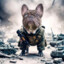 Coronel Frenchie Odin