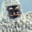 SNOW APE