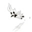 ✪Gustavolego41