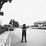 Where Are My Turtles