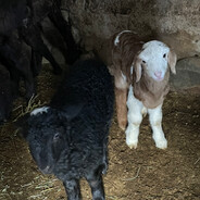 Kapyat’ - steam id 76561199114126449