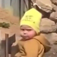 头油只用斯丹康