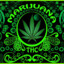 420Yoda024