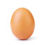 egg