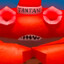 TANTAN