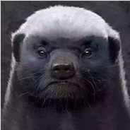 原神糕手史瓦罗芭