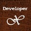 Developer X