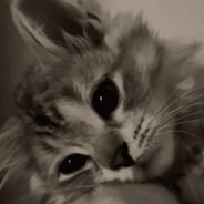 🅺🅸🆃🆃🆈🅲🅰🆃