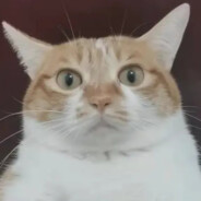 豆腐花必须是甜的