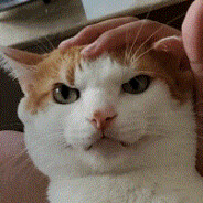 还说啥呢躺一把呗